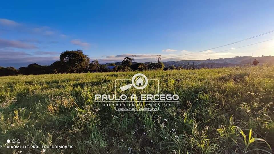 Chácara à venda com 1 quarto, 4125m² - Foto 8