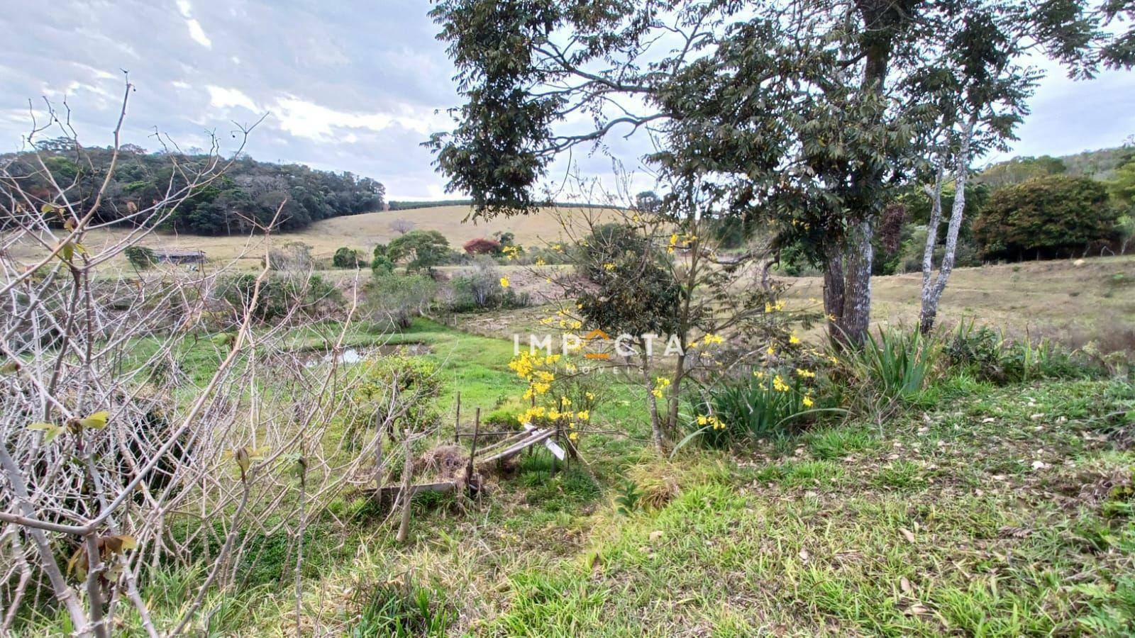 Chácara à venda com 1 quarto, 6000M2 - Foto 7