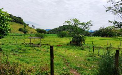 Sítio à venda com 3 quartos, 17000m² - Foto 18
