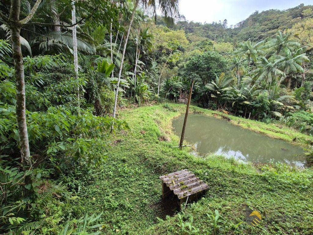 Sítio à venda com 3 quartos, 200m² - Foto 51