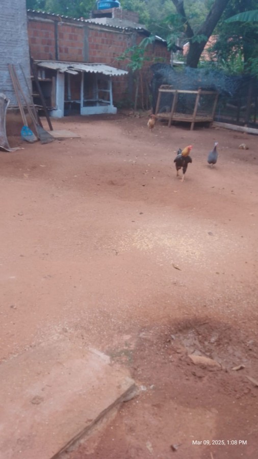 Chácara à venda com 2 quartos, 1350m² - Foto 7