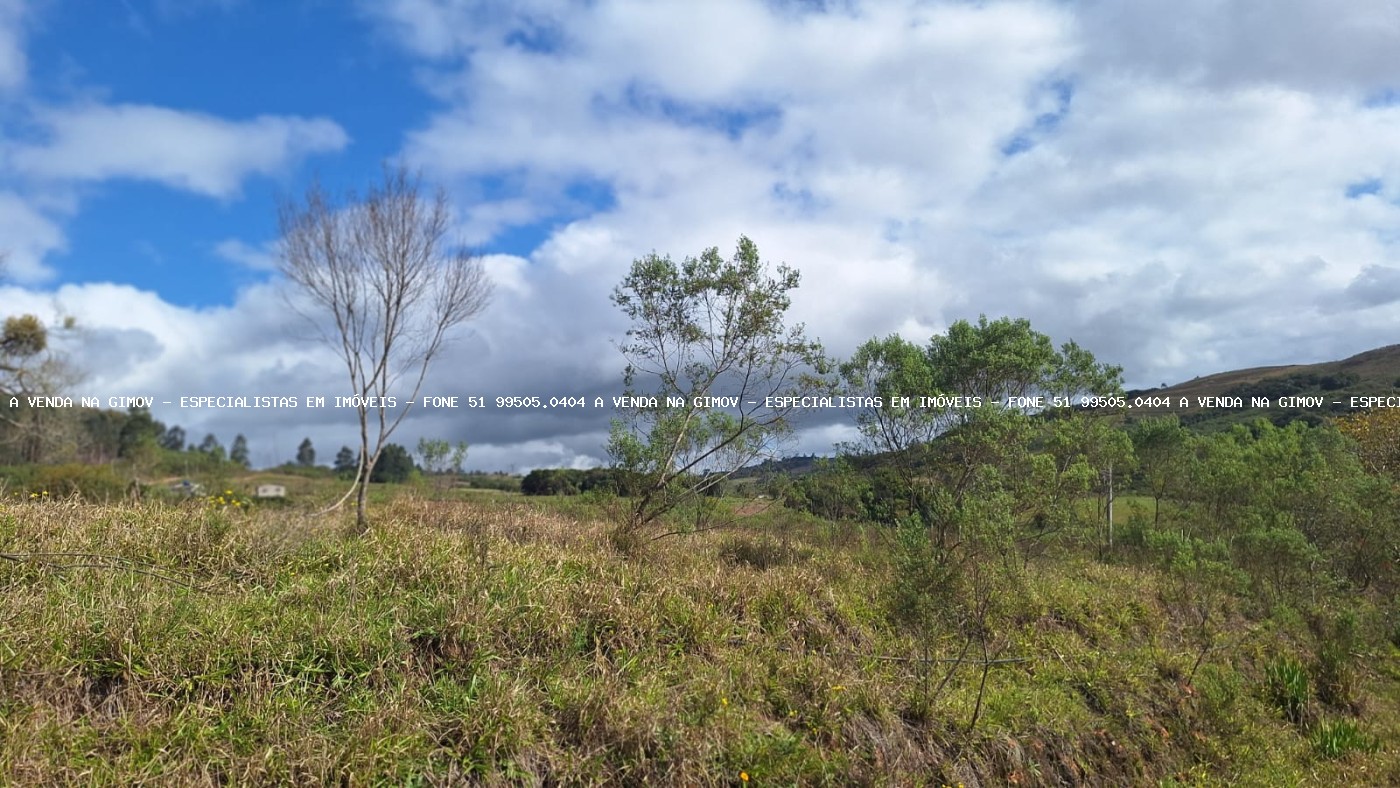 Sítio à venda com 2 quartos, 25000m² - Foto 7