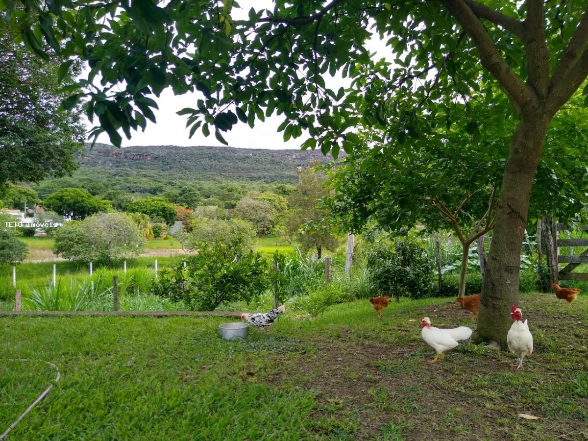 Sítio à venda com 4 quartos, 13500m² - Foto 14