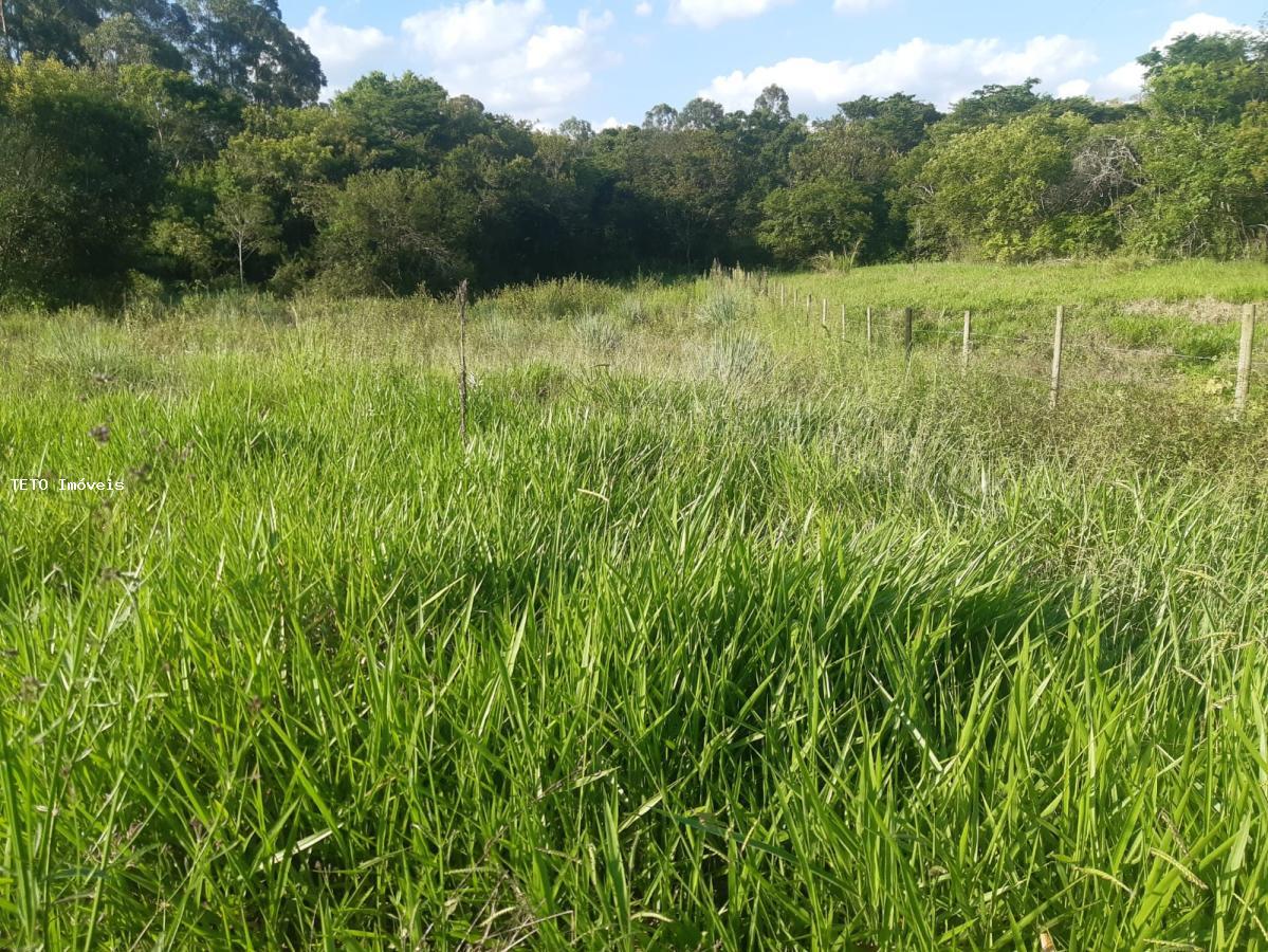 Sítio à venda com 2 quartos, 10000m² - Foto 25