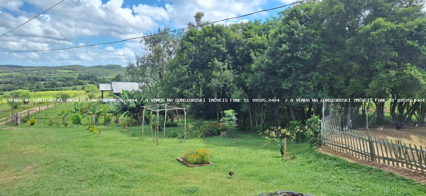 Chácara à venda com 2 quartos, 10000m² - Foto 10