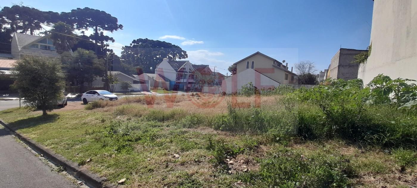 Terreno à venda, 538m² - Foto 6