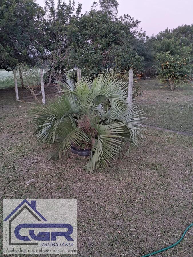 Fazenda para alugar com 3 quartos, 6000m² - Foto 15