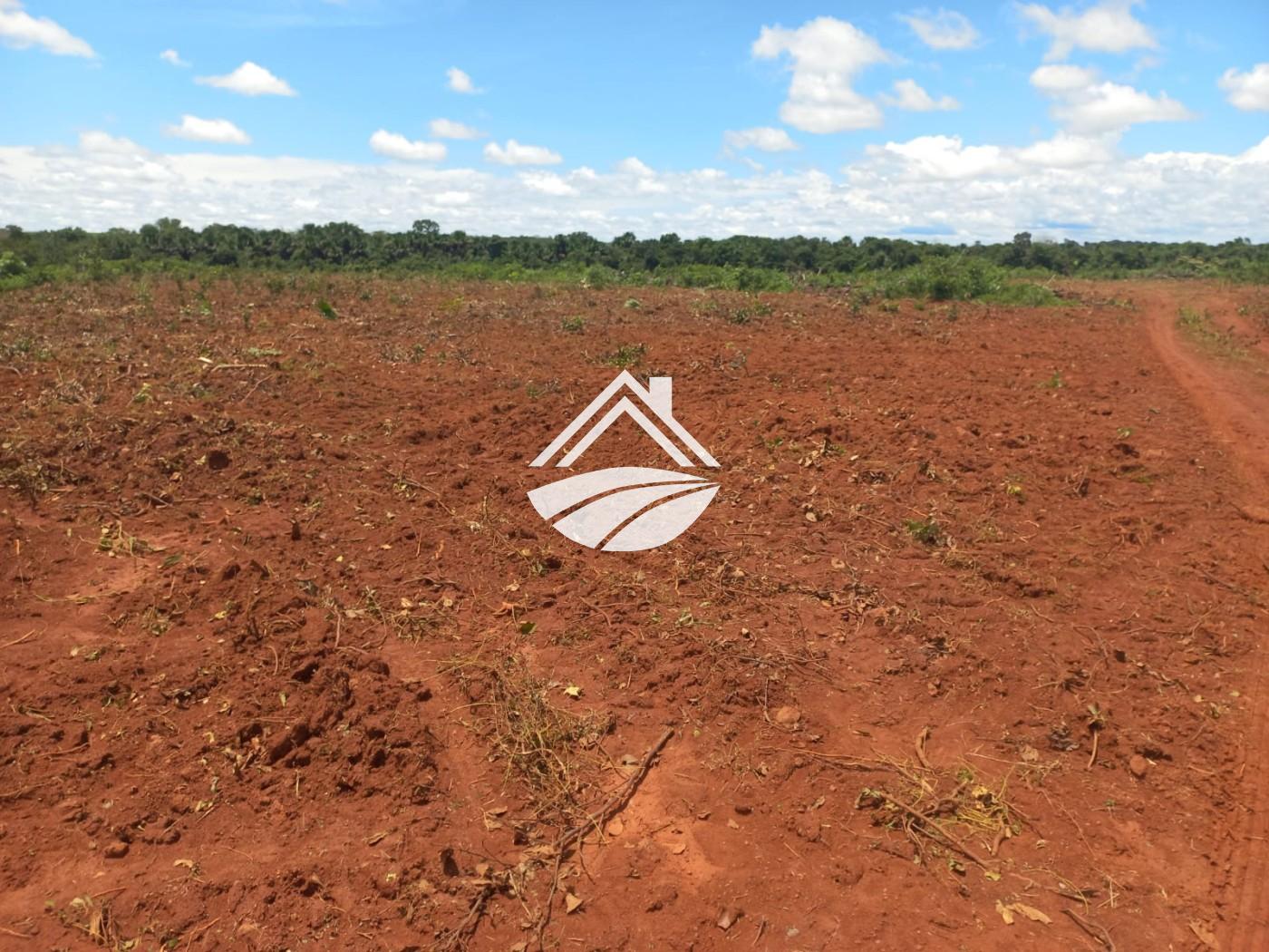 Fazenda à venda, 1m² - Foto 18