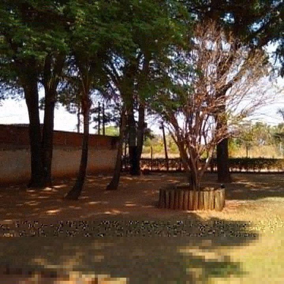 Fazenda à venda - Foto 5