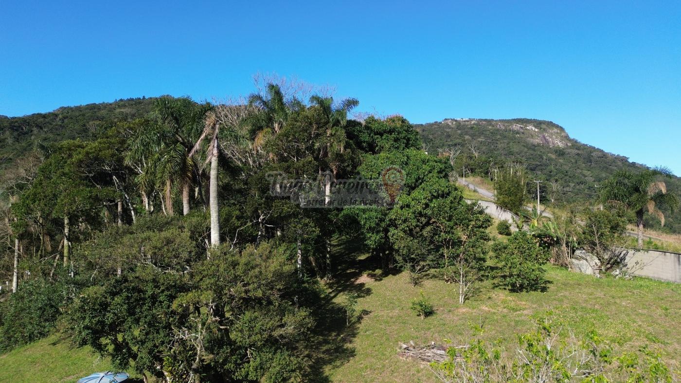 Sítio à venda com 3 quartos, 9659m² - Foto 42