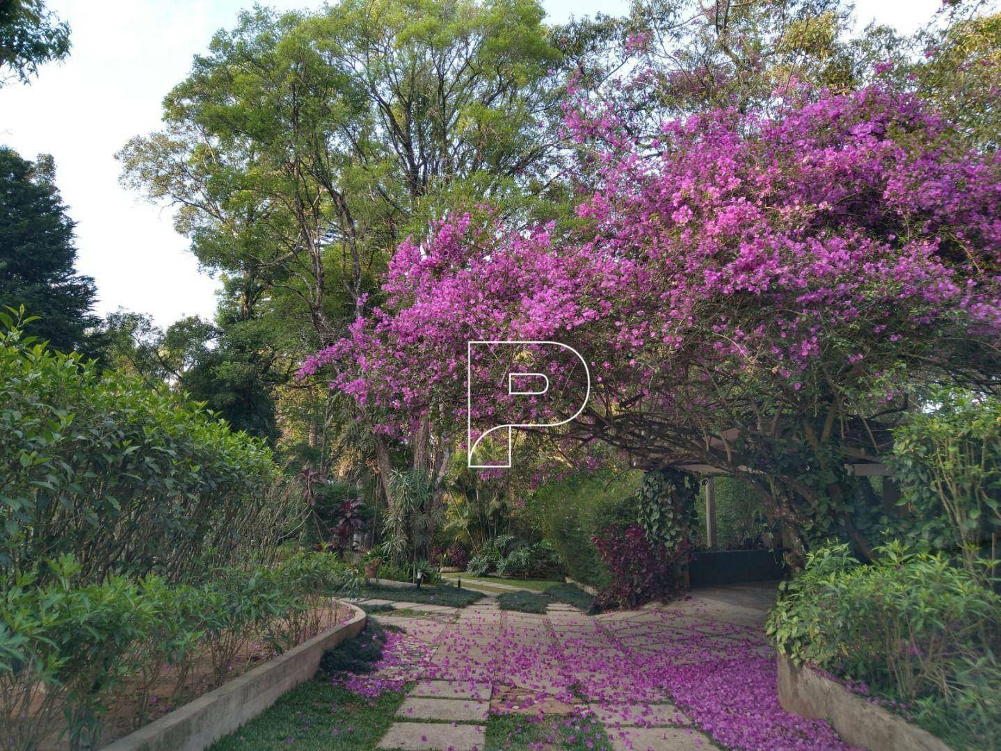 Chácara à venda com 3 quartos, 420m² - Foto 36