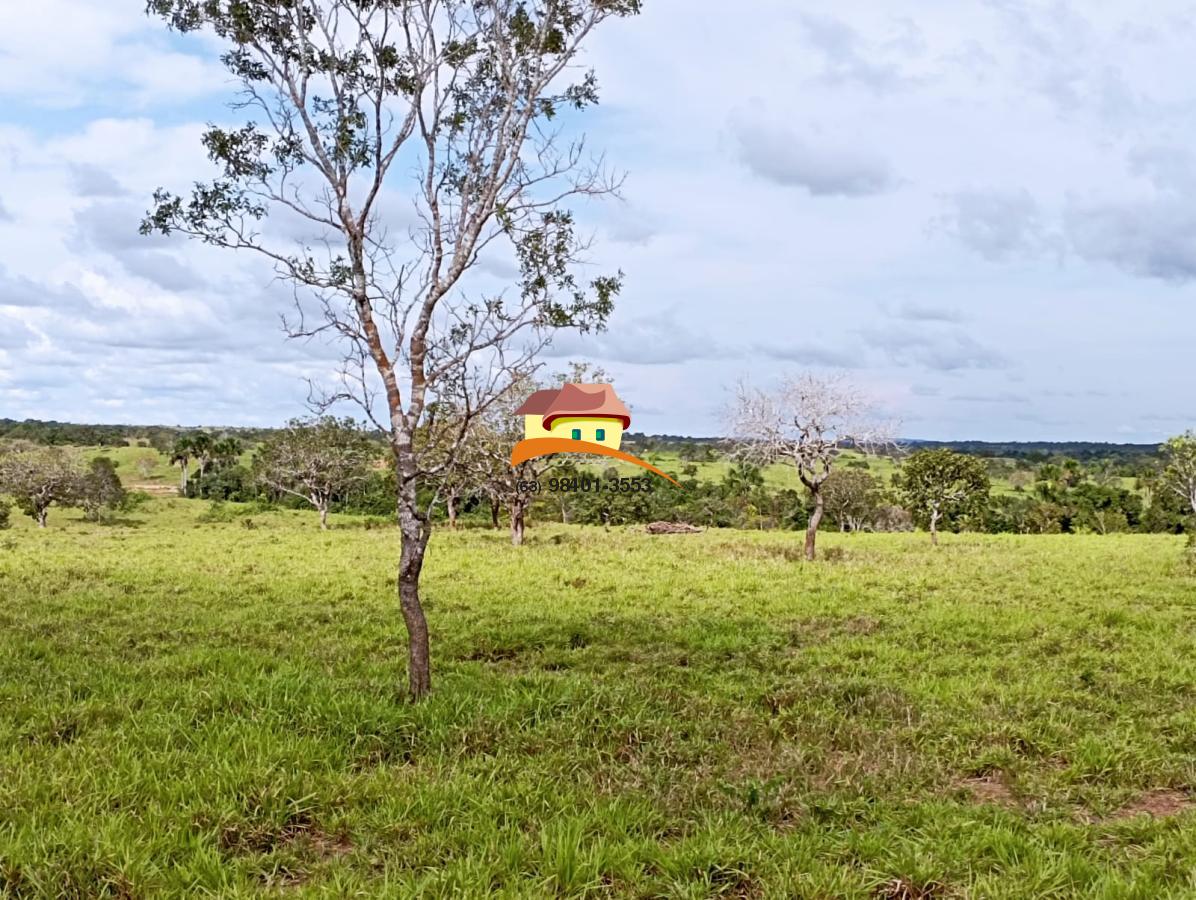 Fazenda à venda, 1623m² - Foto 4