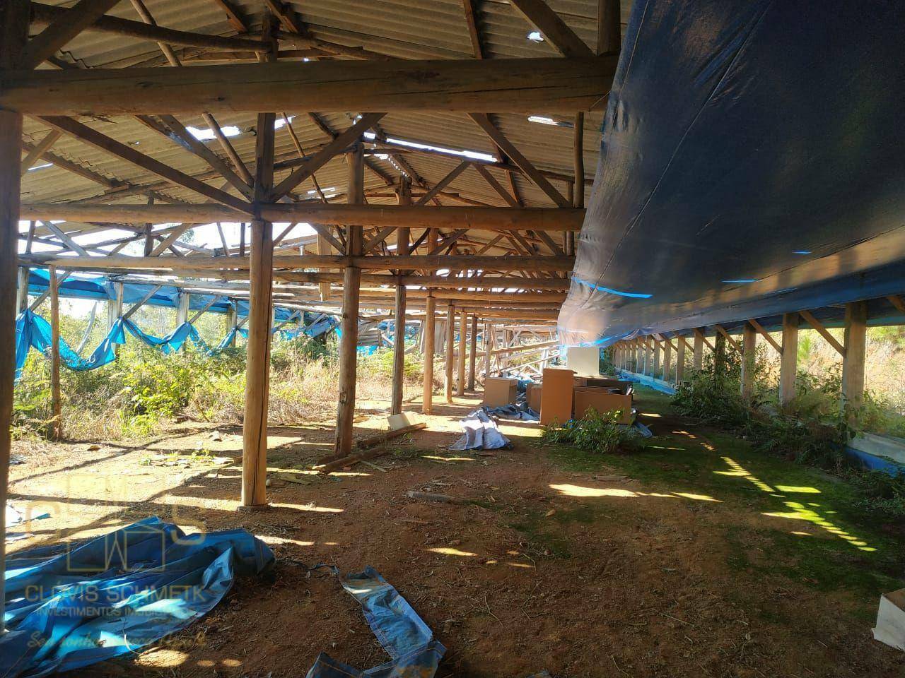 Sítio à venda com 3 quartos, 100000M2 - Foto 36