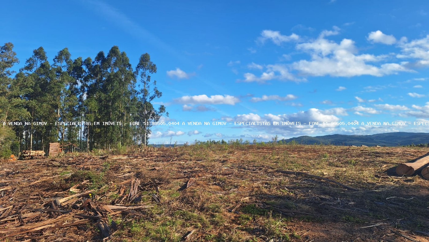 Sítio à venda com 2 quartos, 96000m² - Foto 11