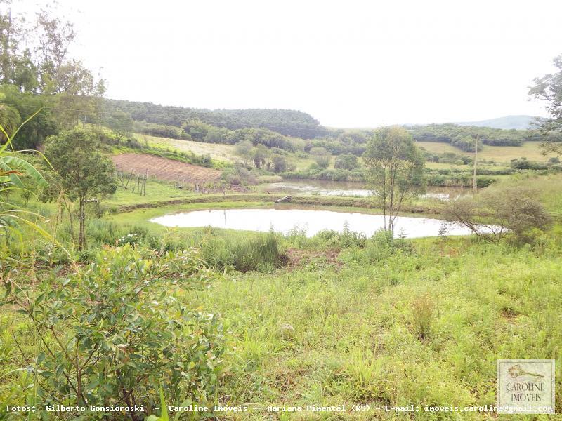 Sítio à venda com 3 quartos, 60000m² - Foto 11