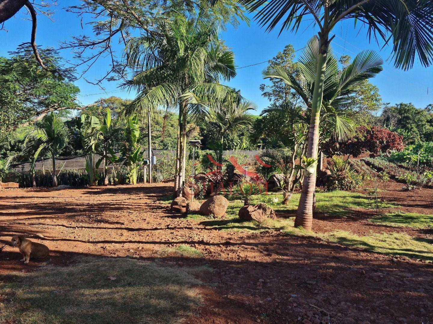 Chácara à venda com 4 quartos, 300m² - Foto 9