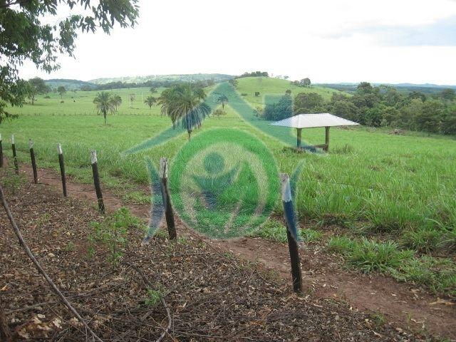 Fazenda à venda - Foto 4