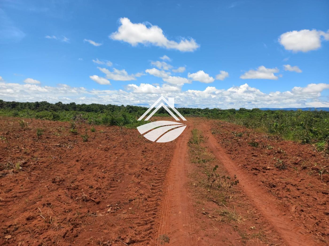 Fazenda à venda, 1m² - Foto 23