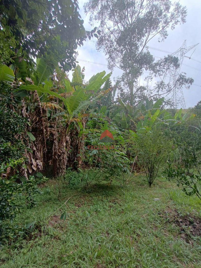Chácara à venda com 2 quartos, 3500M2 - Foto 31