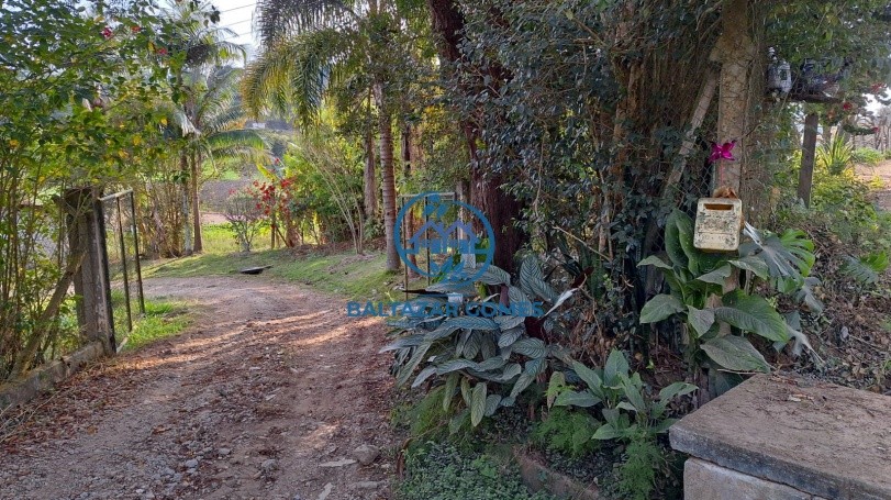 Chácara para alugar com 2 quartos, 4000m² - Foto 2