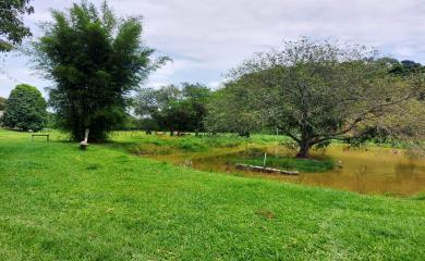 Sítio à venda com 3 quartos, 17000m² - Foto 12