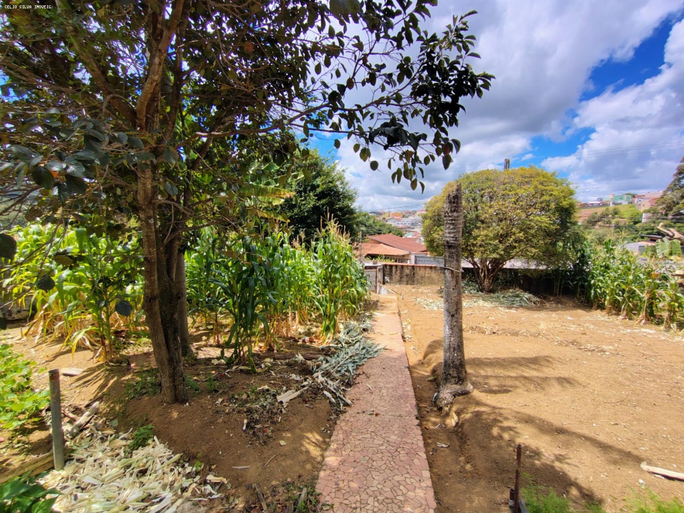 Terreno à venda, 900m² - Foto 4