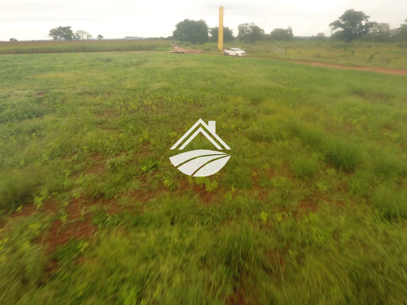 Fazenda à venda, 1m² - Foto 28