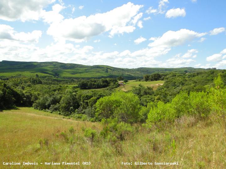 Chácara à venda com 3 quartos, 160000m² - Foto 15