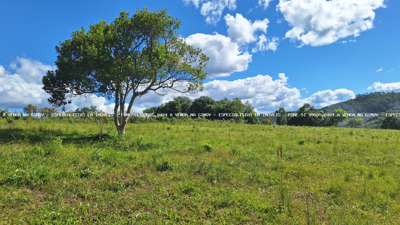 Loteamento e Condomínio à venda, 375000m² - Foto 14