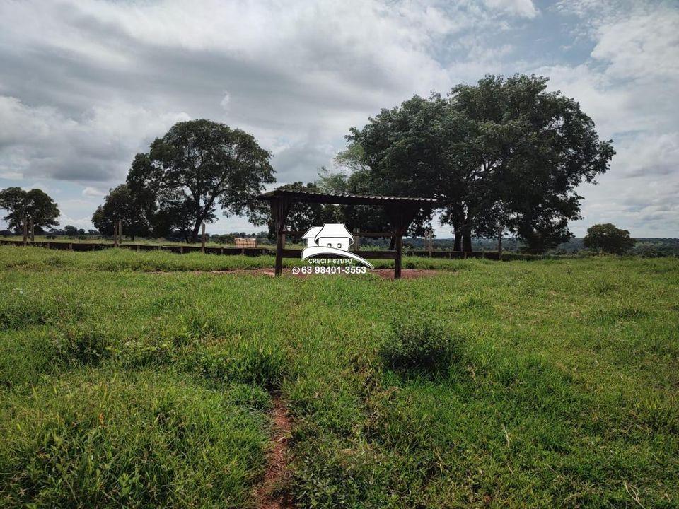 Fazenda à venda, 1m² - Foto 13