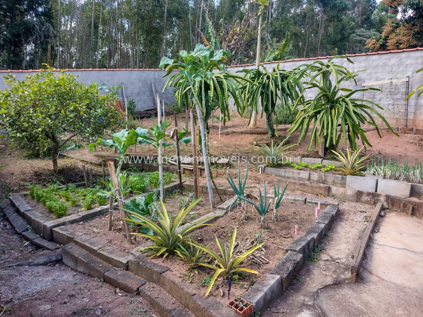 Chácara à venda com 2 quartos, 500m² - Foto 14