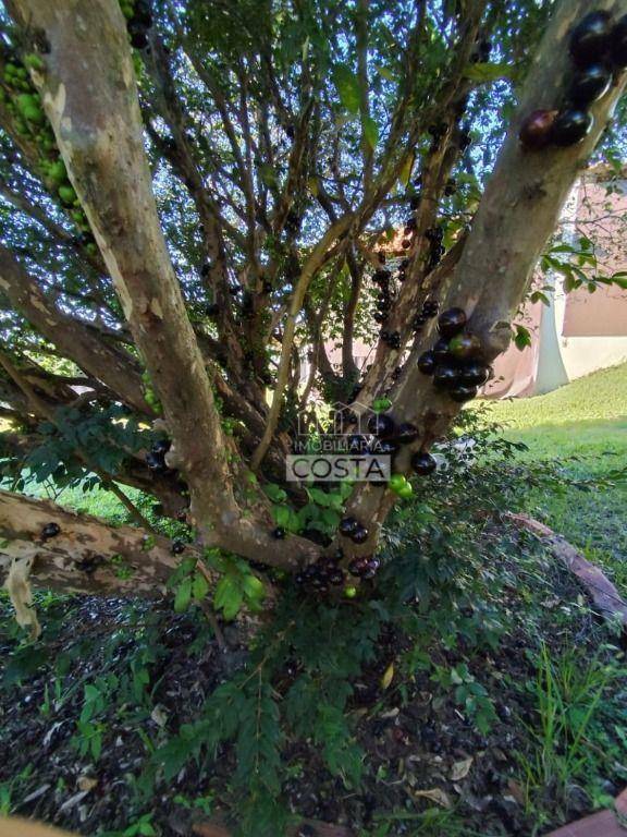 Chácara à venda com 2 quartos, 150m² - Foto 29