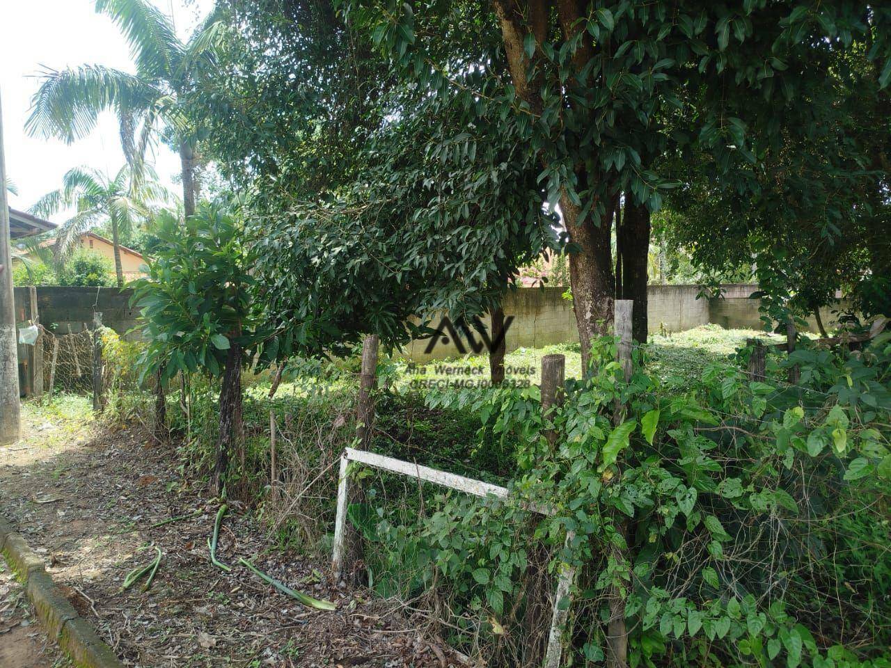 Terreno à venda, 242M2 - Foto 1