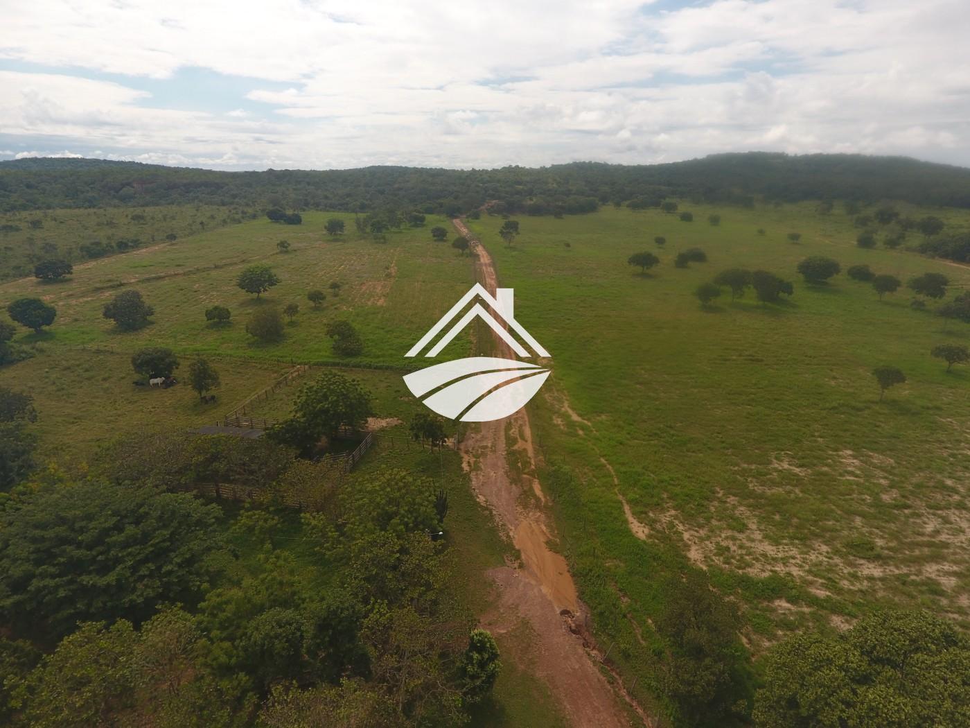 Fazenda à venda, 1m² - Foto 12