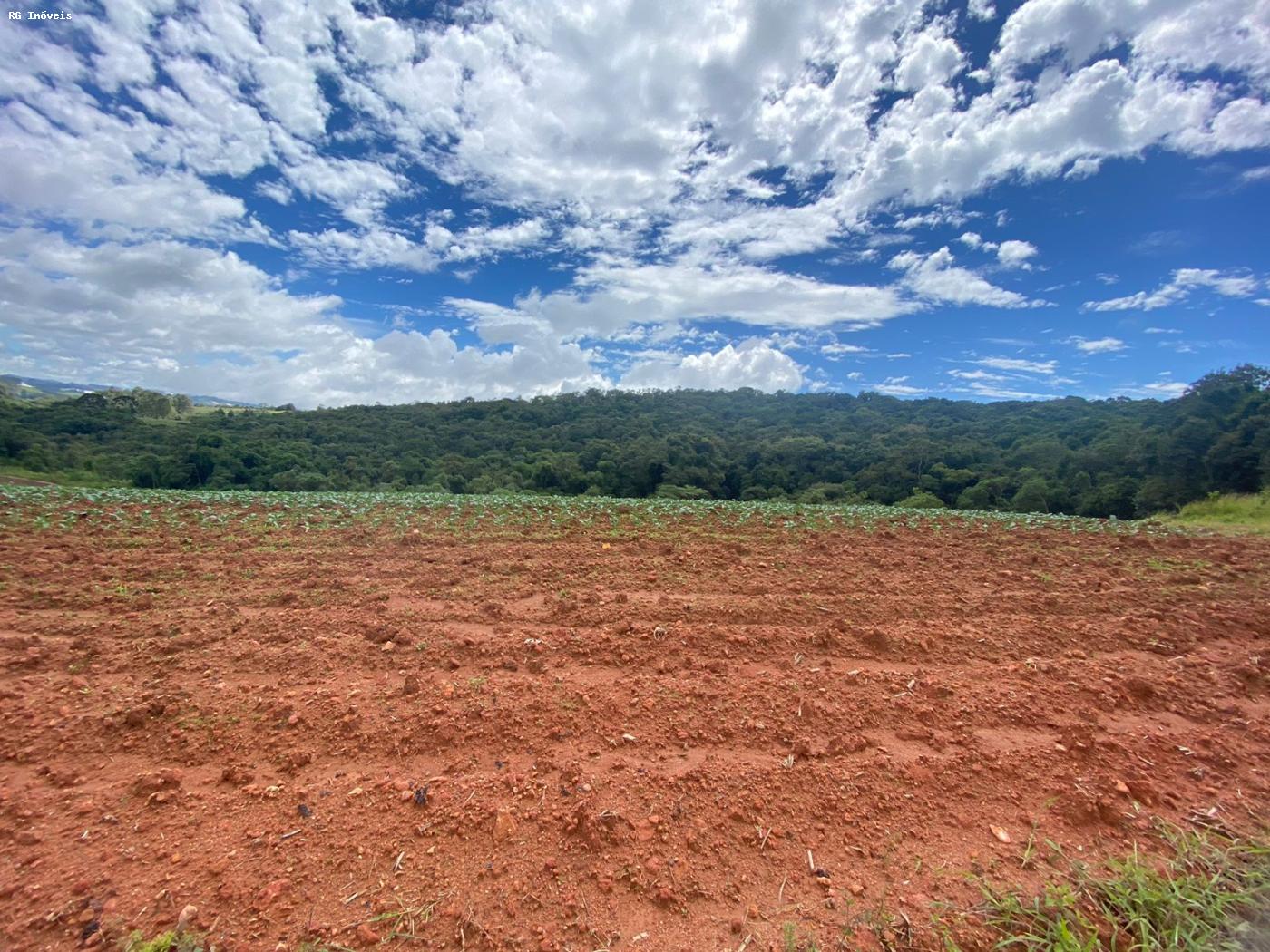 Fazenda à venda com 2 quartos, 1766600m² - Foto 1