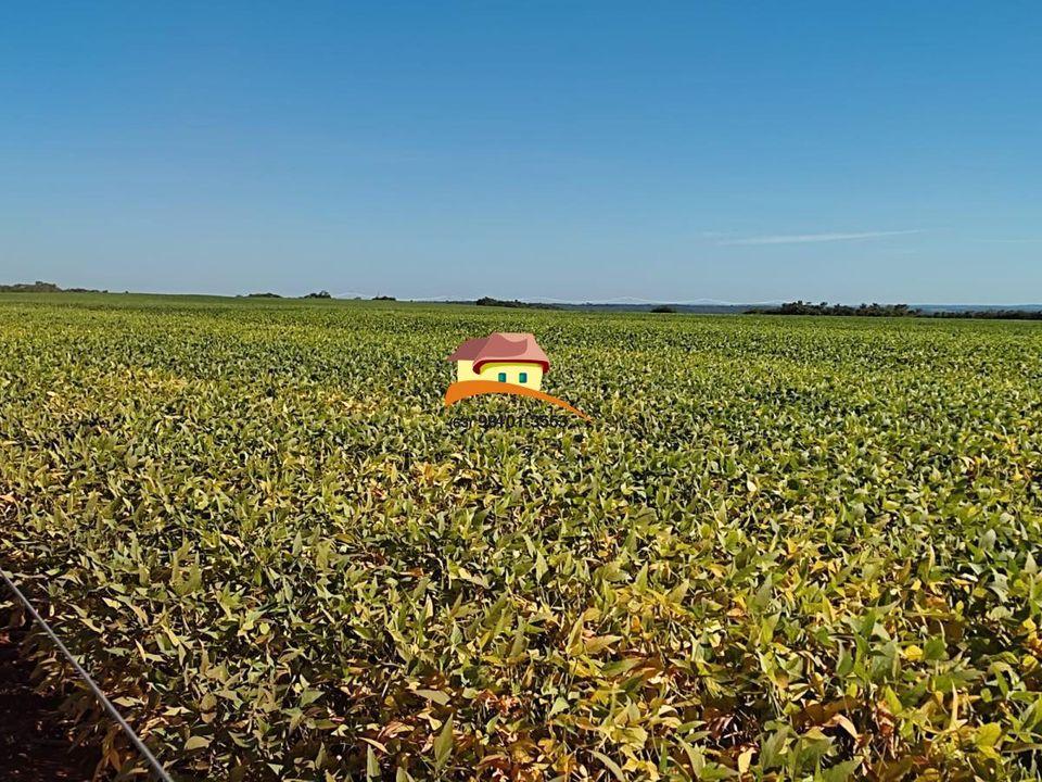 Fazenda à venda, 1m² - Foto 37