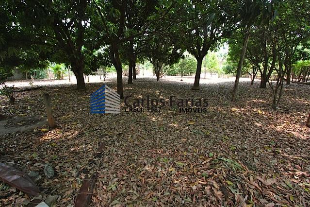 Chácara à venda com 3 quartos, 300m² - Foto 17
