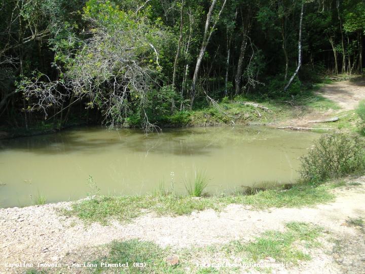 Chácara à venda com 3 quartos, 160000m² - Foto 10