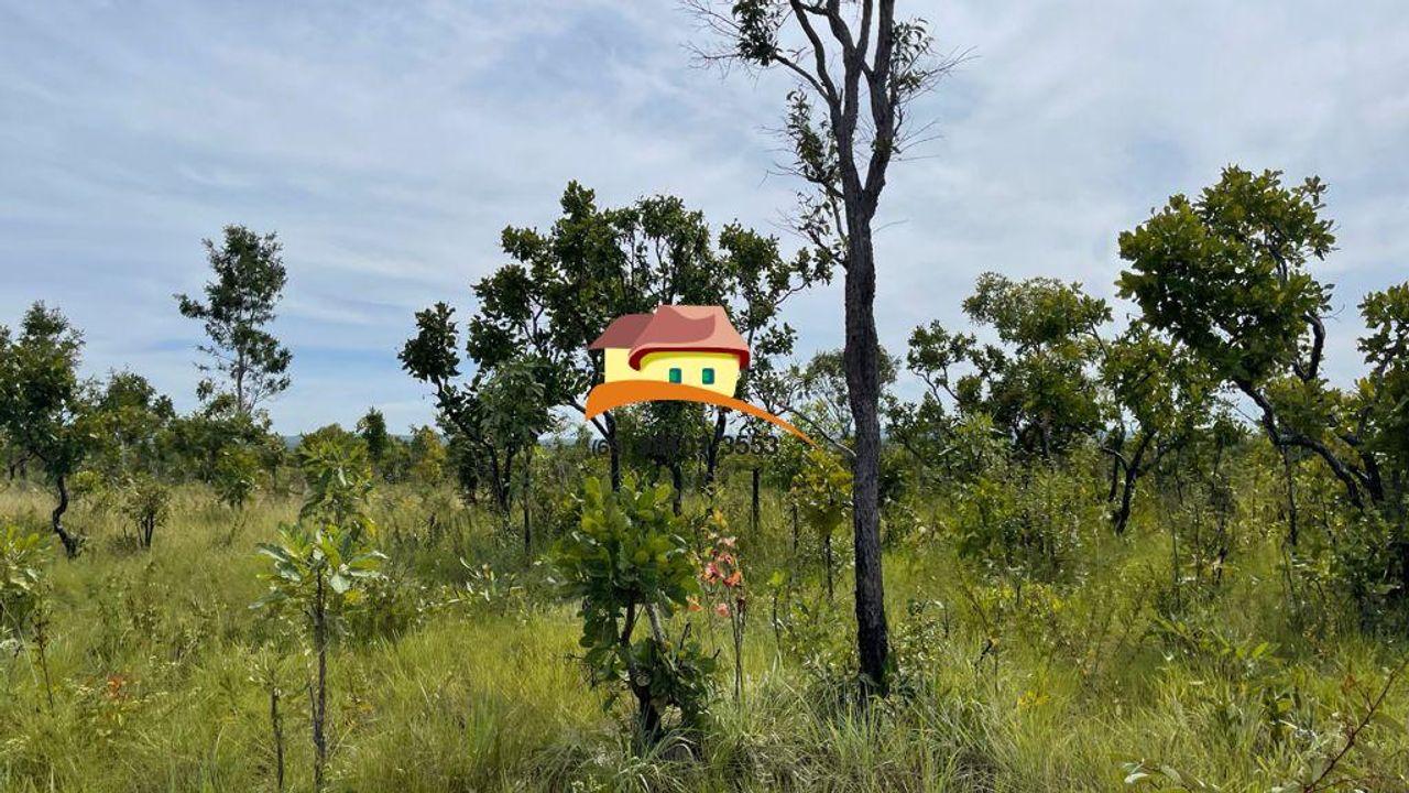 Fazenda à venda, 1m² - Foto 2