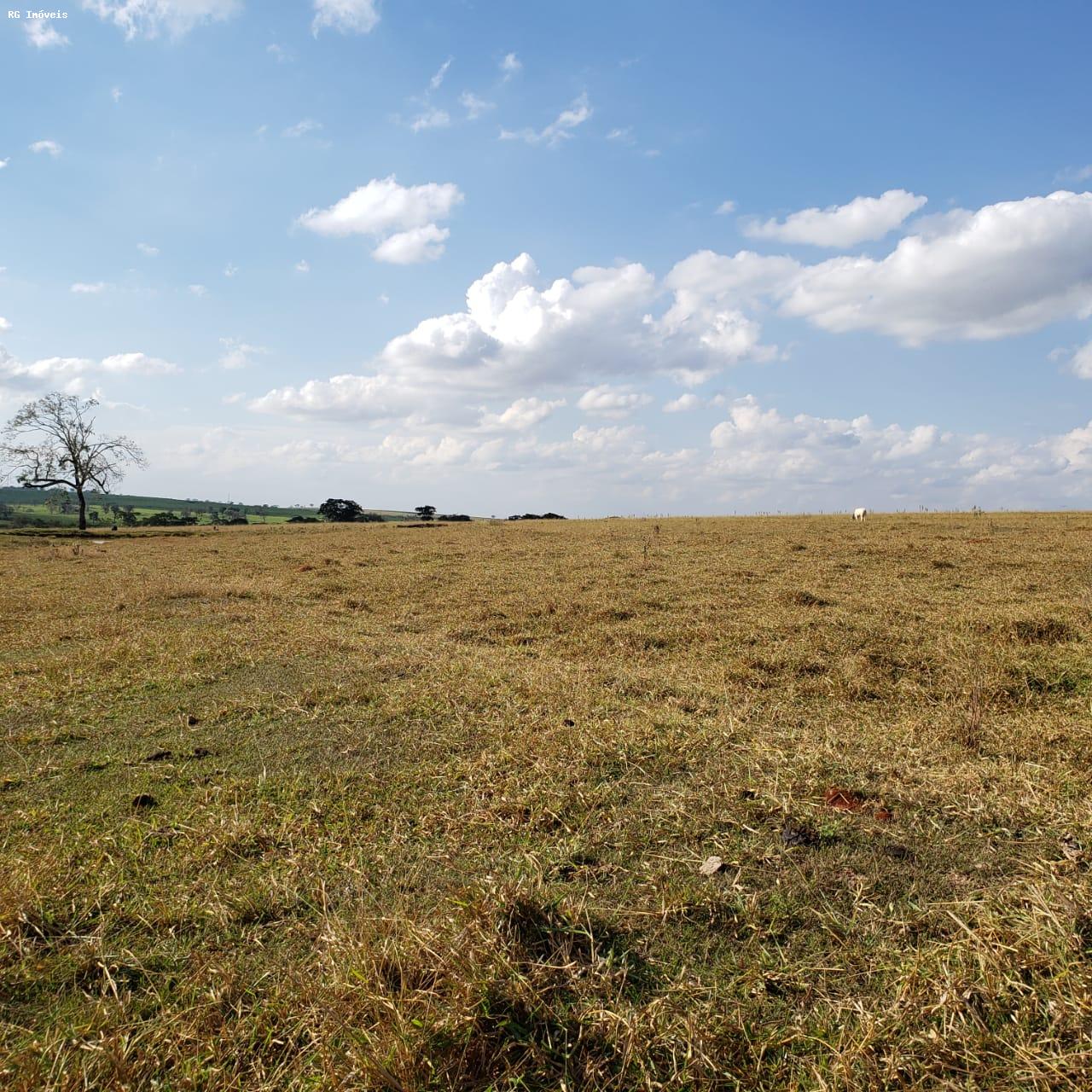 Fazenda à venda com 3 quartos, 3581600m² - Foto 18