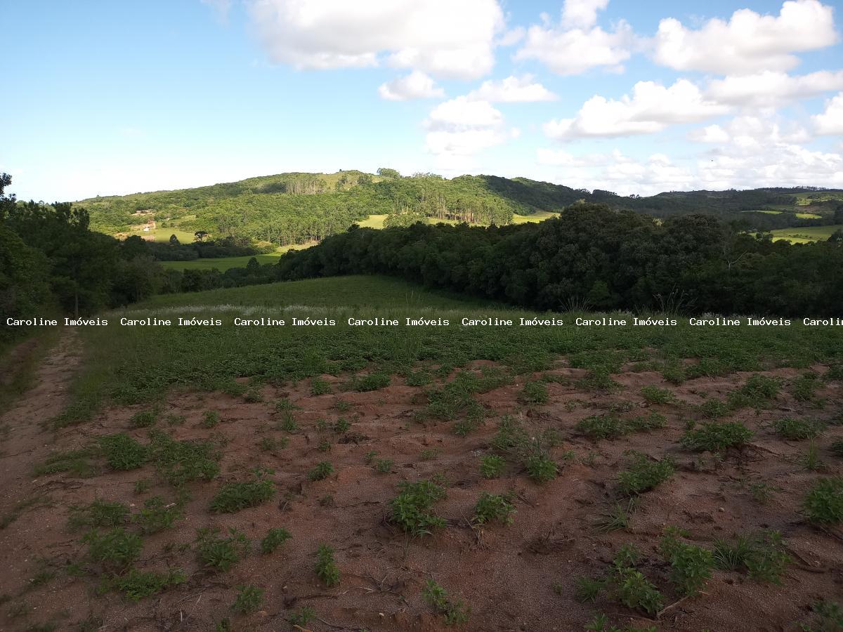 Sítio à venda, 250000m² - Foto 12