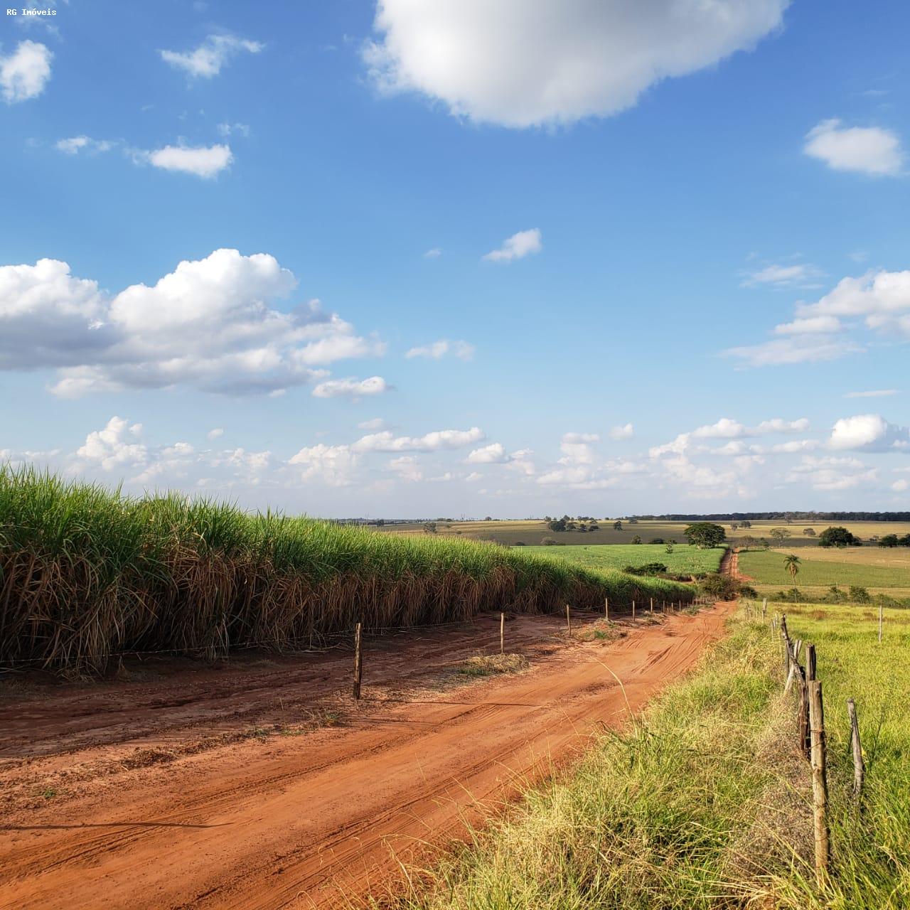 Fazenda à venda com 3 quartos, 3581600m² - Foto 11