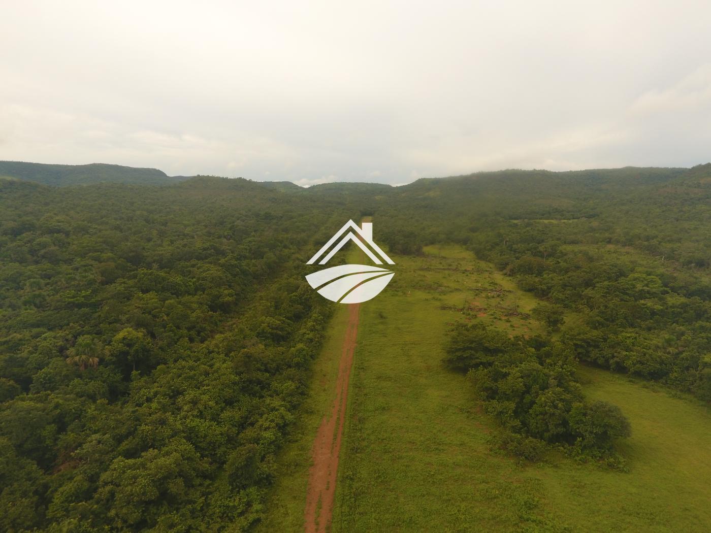 Fazenda à venda, 1m² - Foto 13