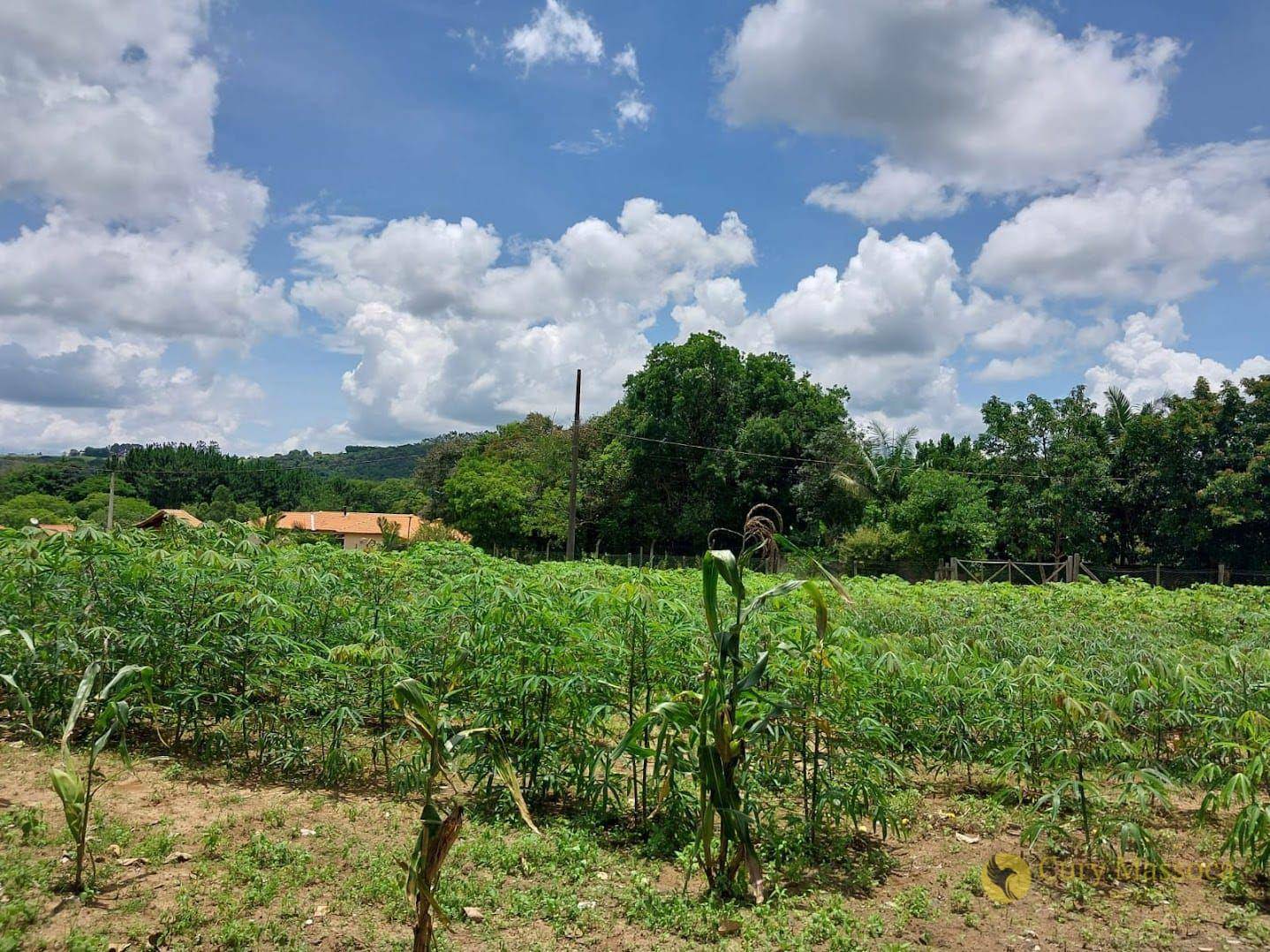 Chácara à venda com 4 quartos, 6548M2 - Foto 9