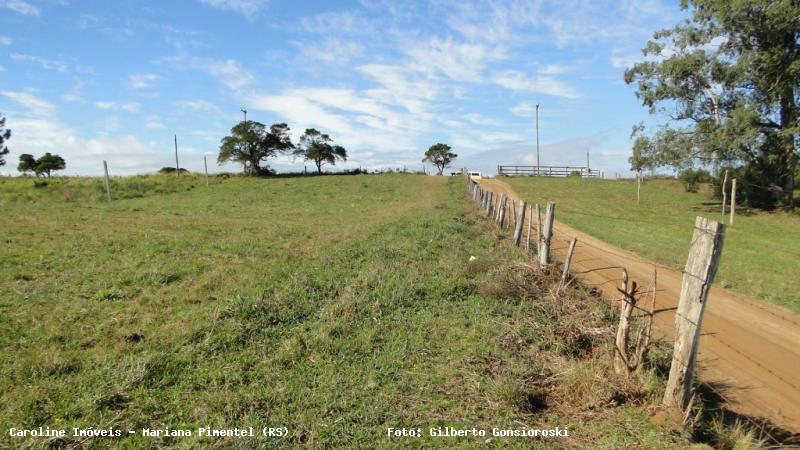Sítio à venda com 2 quartos, 60000m² - Foto 14