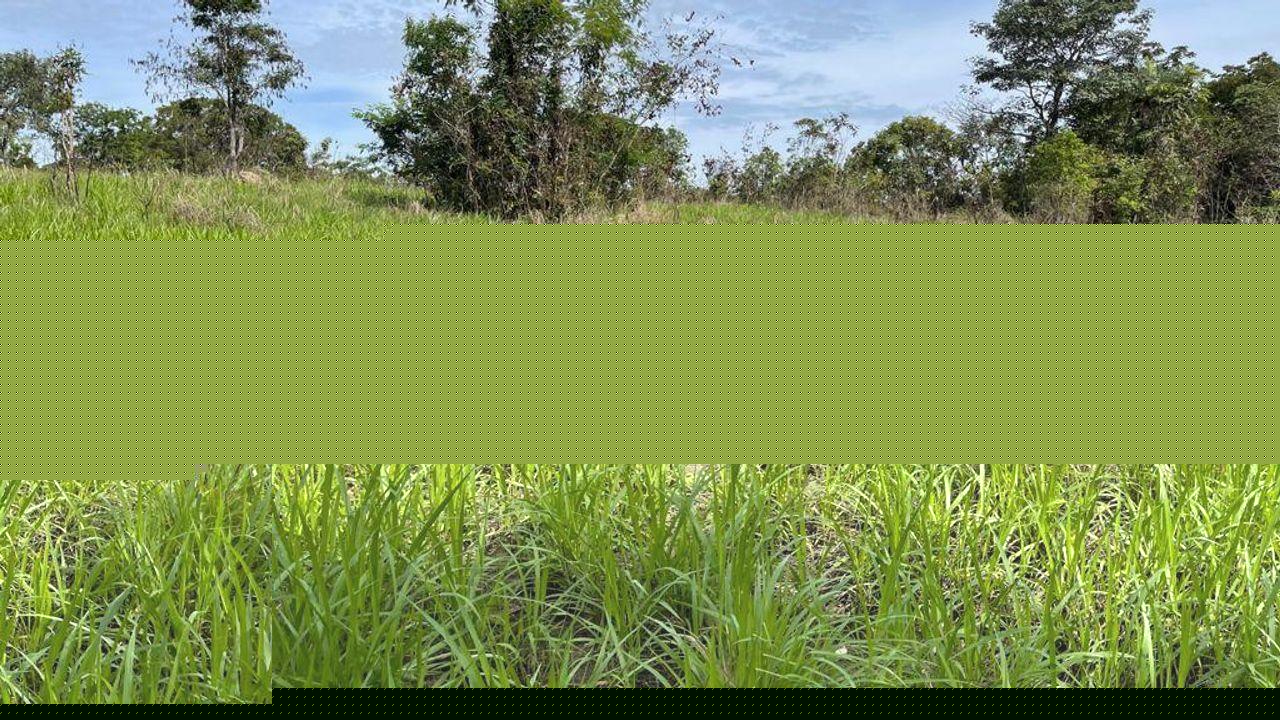 Fazenda à venda, 1m² - Foto 6