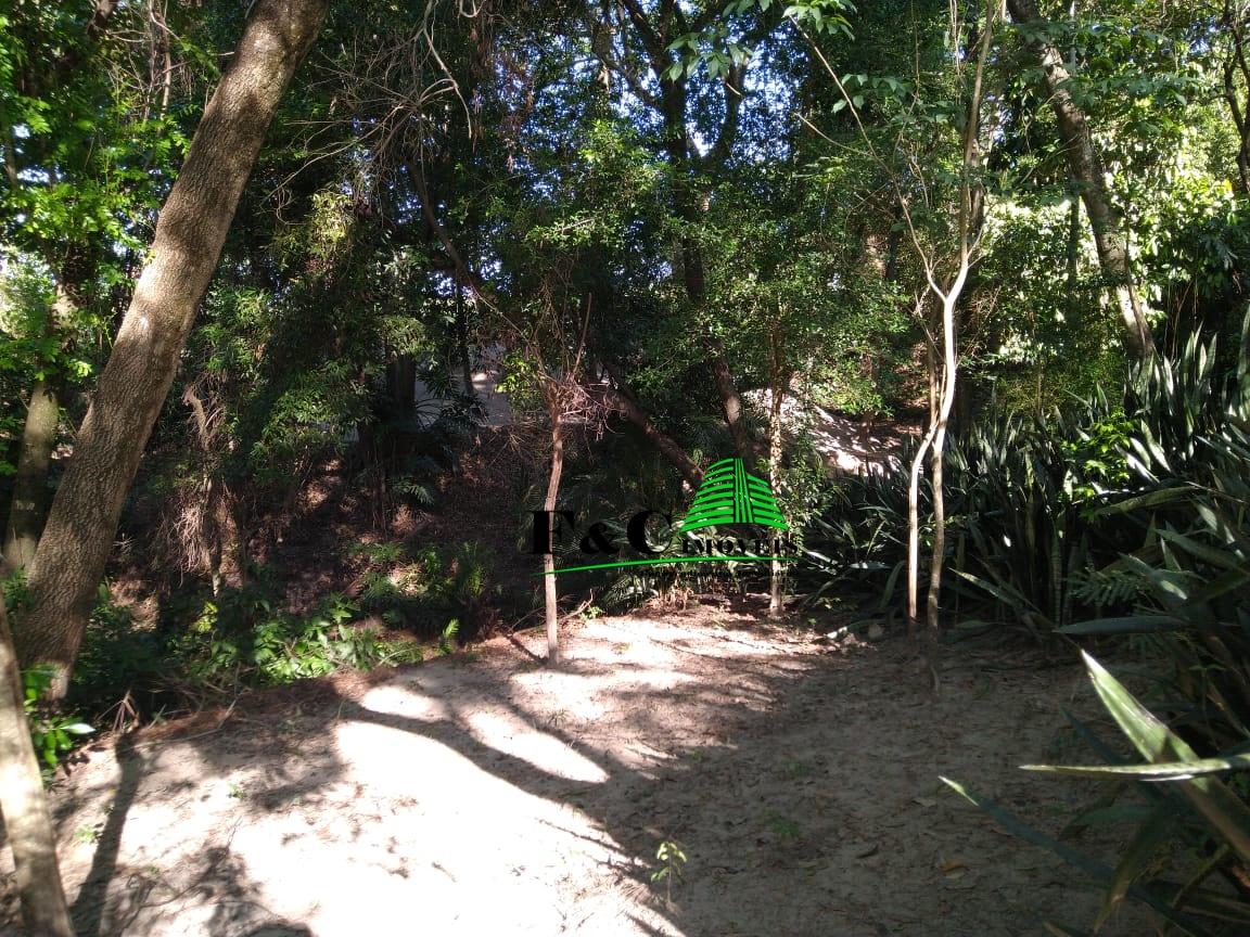Chácara à venda com 3 quartos, 24200m² - Foto 21