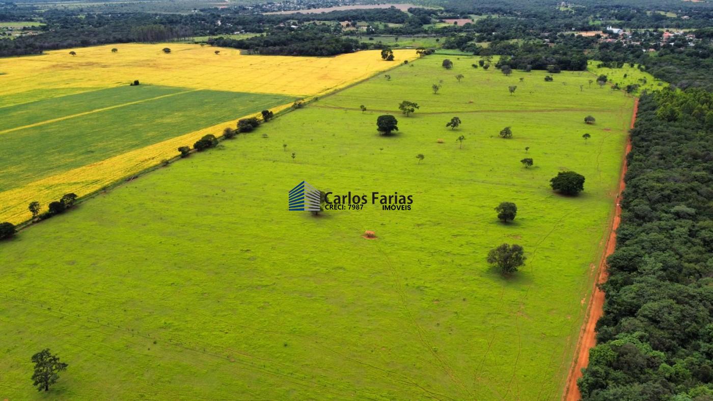 Fazenda à venda com 3 quartos, 230m² - Foto 20