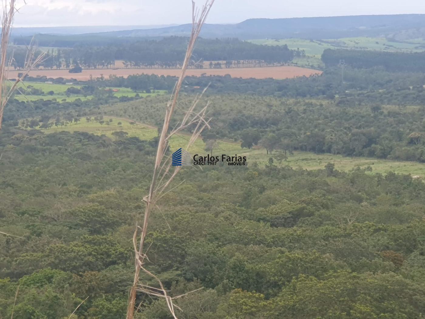 Fazenda à venda com 4 quartos, 300m² - Foto 42