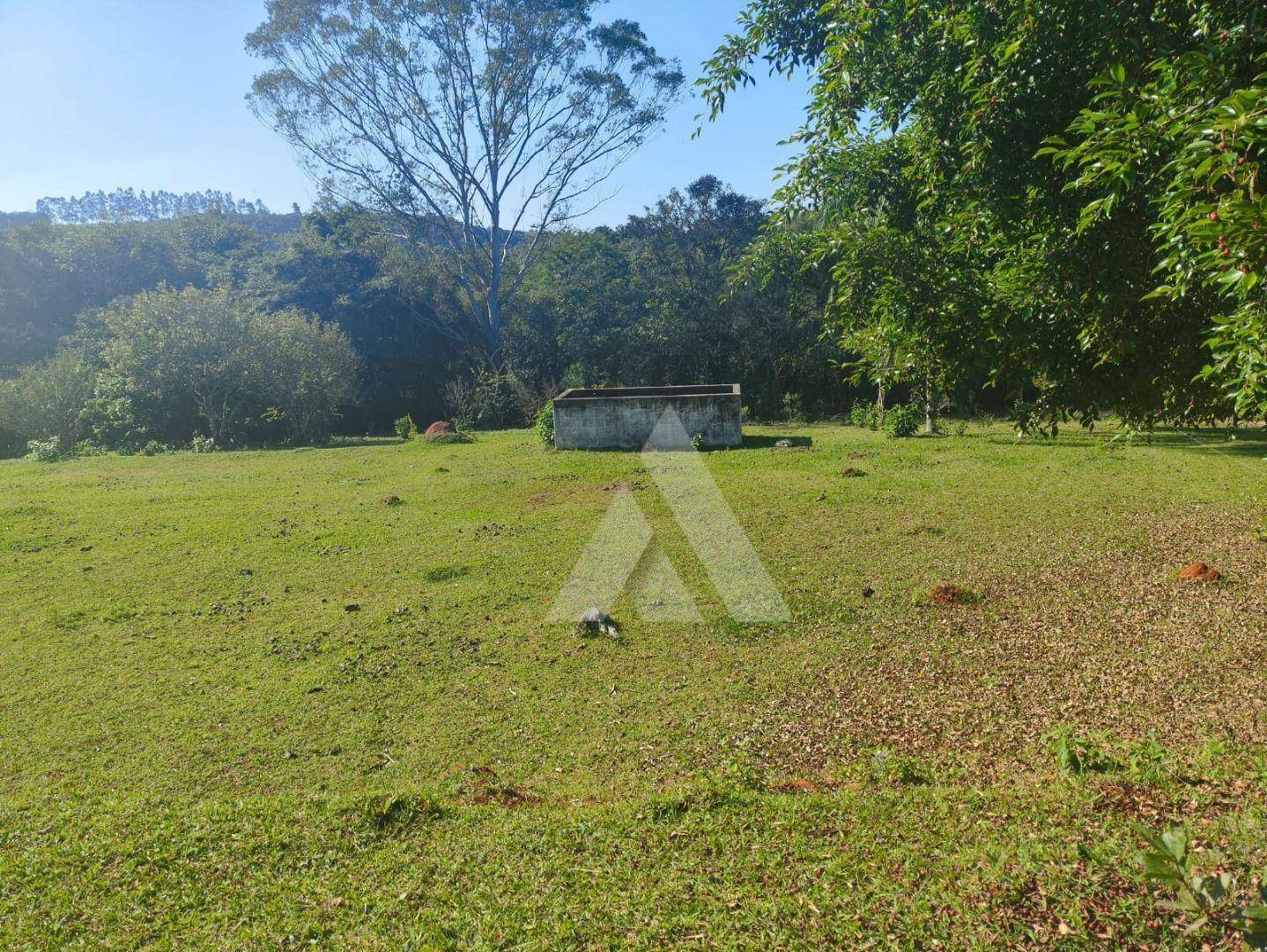 Chácara à venda com 4 quartos, 3000M2 - Foto 3